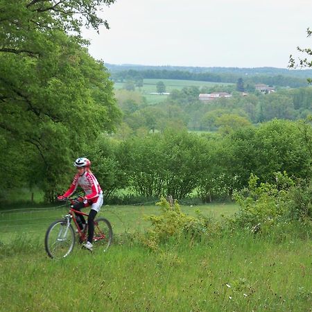 Saint-Germain-de-Confolens Le Petit Mas D'Ile Bed & Breakfast エクステリア 写真