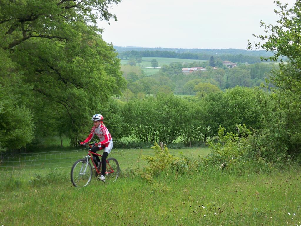 Saint-Germain-de-Confolens Le Petit Mas D'Ile Bed & Breakfast エクステリア 写真